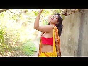 Neelam In Saree Hot porn video Low Quality Porn